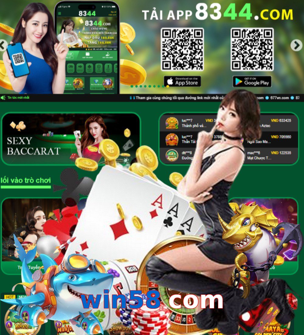 win58 com